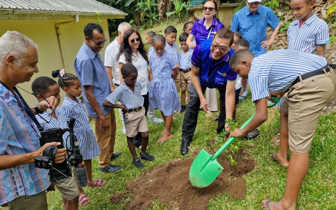 Growing Tomorrow’s Guardians: Tree Planting with La Misère Primary School
