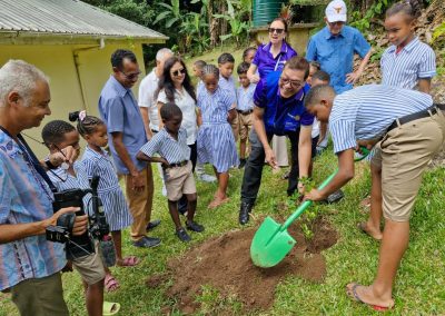 Tree Planting La Misere