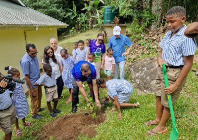 Tree Planting La Misere