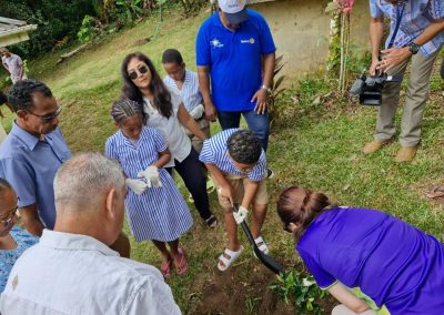 Tree Planting La Misere